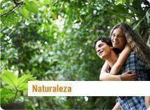 tipo-naturaleza