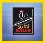 surfin2009