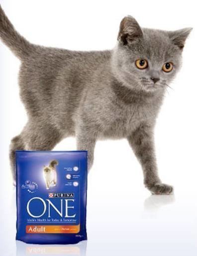 Comida para gatos