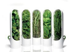 Sorteo Hierbas Aromaticas