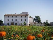 Sorteo de Casa y Campo