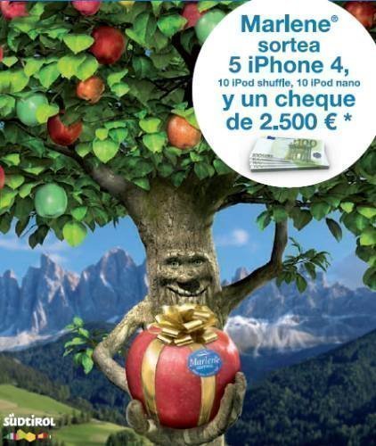 Sorteo de Manzanas Marlene