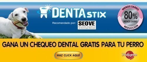 Sorteo de Pedigree