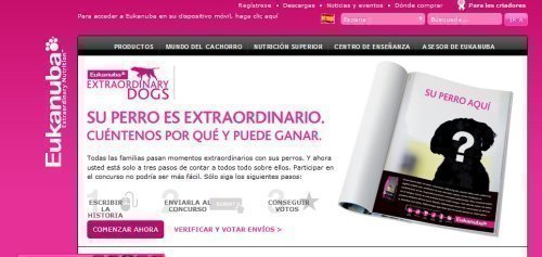 Concurso de perros Eukanuba