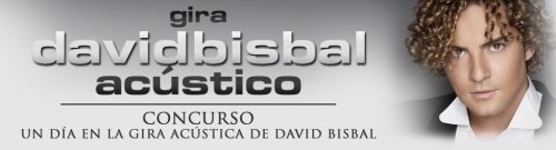Conocer a David Bisbal en Persona