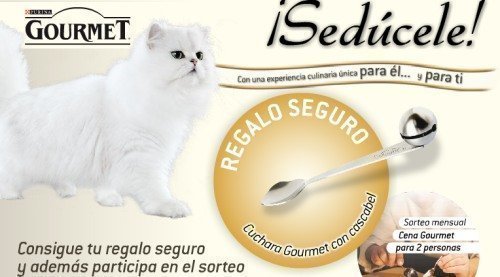 Regalo Seguro Gourmet