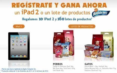 brekkies sorteo