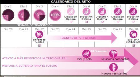 Reembolso de comida para perros