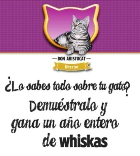 Sorteo de un año de Whiskas Gratis