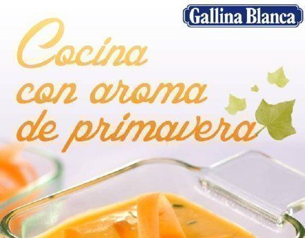 Descargar recetario gratis
