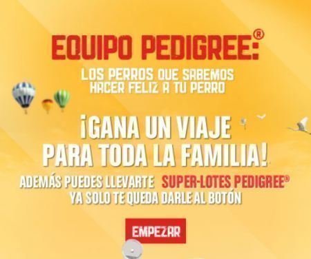 Sorteo Pedigree