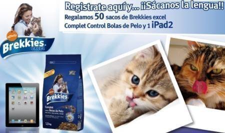 Sorteo Gratis de Ipad Brekkies Excel