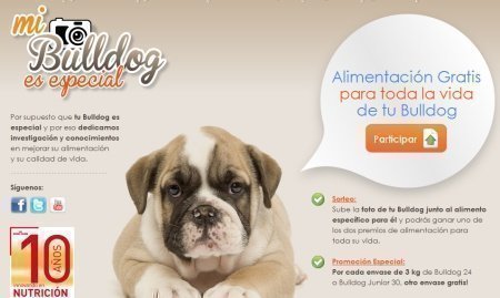 Sorteo de royal canin