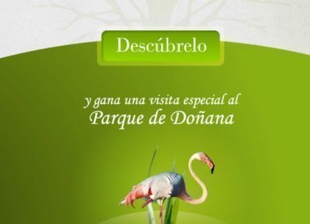 Sorteo de viaje a Doñana