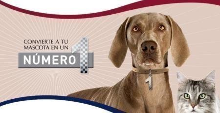 Muestras Gratis de Medallas para Perros