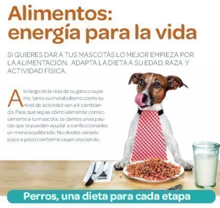 Revista Gratis de mascotas