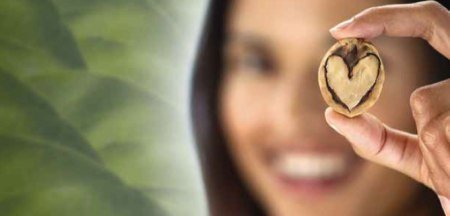 Recetario Gratis Nueces de California