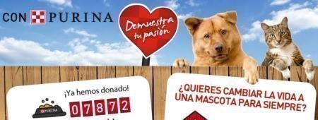 Regalo Directo purina one