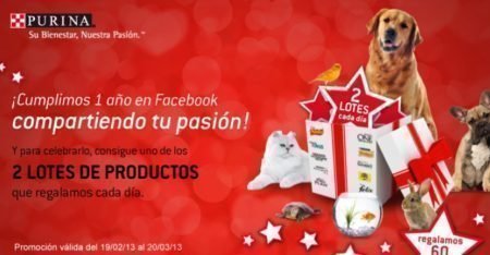 Sorteo de Purina Nestle