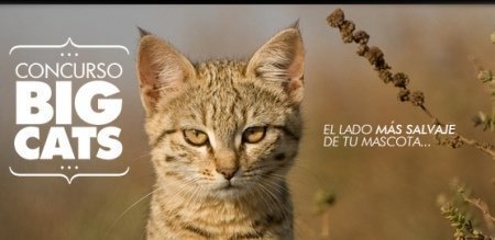Promocion National Geographic