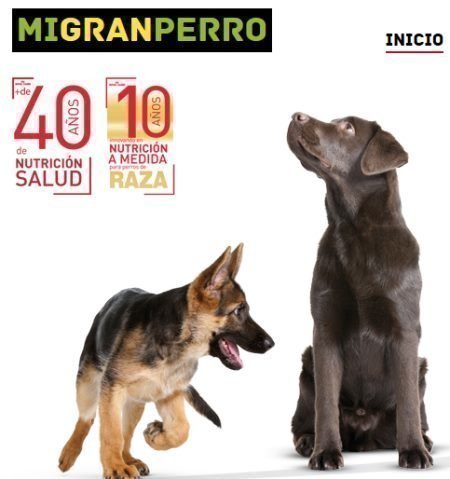 royal canin