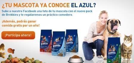 Muestras gratis brekkies excel