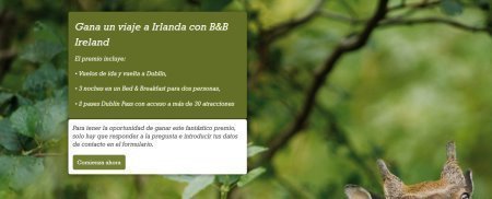 Sorteo gratis de un viaje a Irlanda