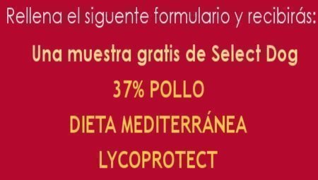 Muestras gratis de comida para perros