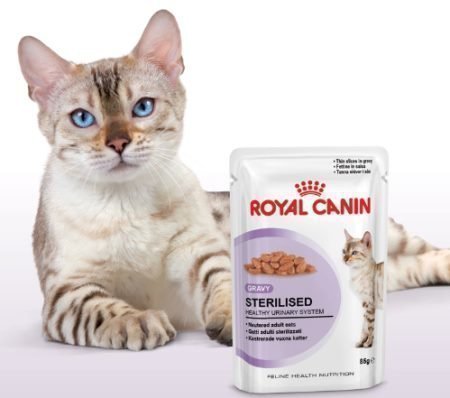 muestras gratis comida gatos