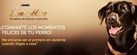 muestras gratis de pro plan