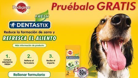 Muestras gratis Dentastix