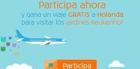 Sorteo de viaje a Holanda