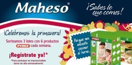 Promocion Maheso