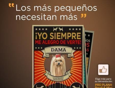 Purina