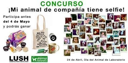 sorteo-gratis-lush