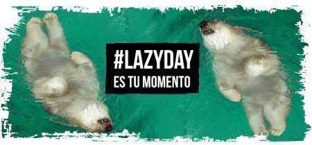 Cupones Descuento Lazyday