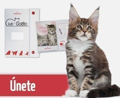 promocion-royal-canin