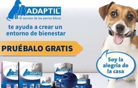 Muestras gratis Adaptil