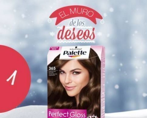 Promocion Palette