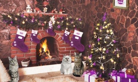 premios-diarios-whiskas