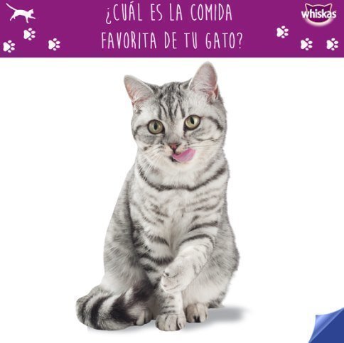 sorteo-de-bolsitas-gratuitas-de-whiskas
