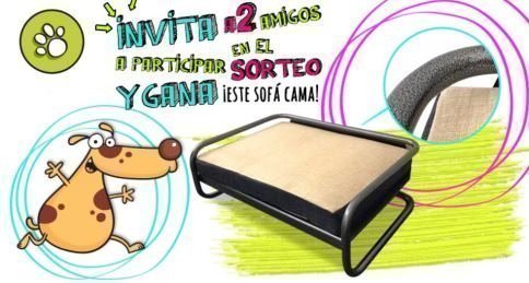 sorteo-gratis-de-cama-para-mascotas