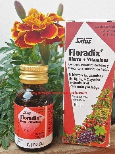 flordixmuestra