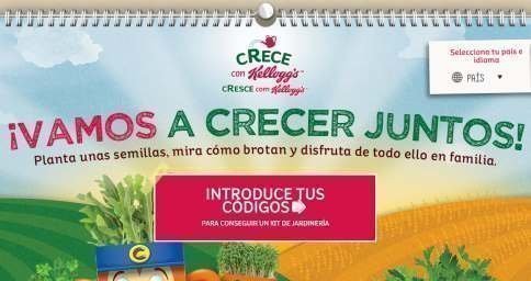 regalo-seguro-kelloggs