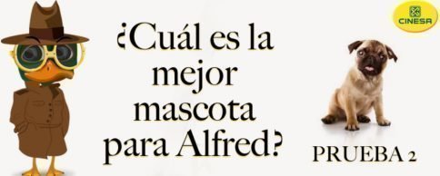 sorteo-gratis-alfred