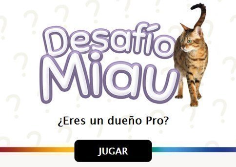 promocion-desafio-miau