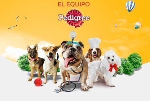 sorteo-pedigree