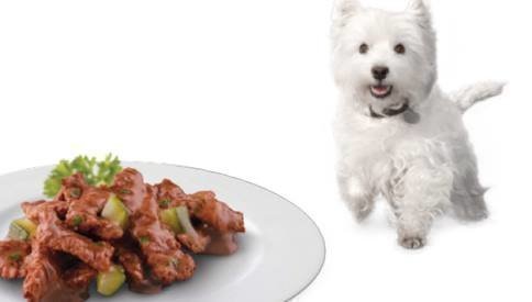 muestras-para-perros