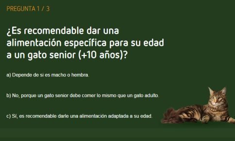 premios-gratis-ultima-gatos