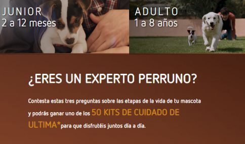 sorteo-de-regalos-para-perros